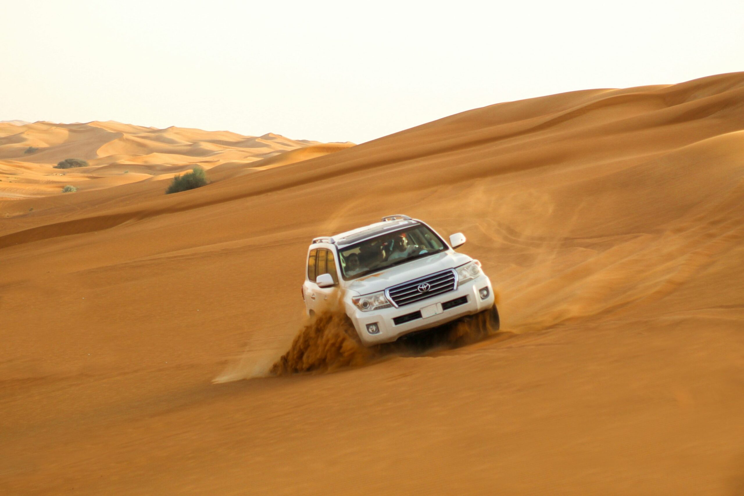 Premium Desert Safari Dubai Camp