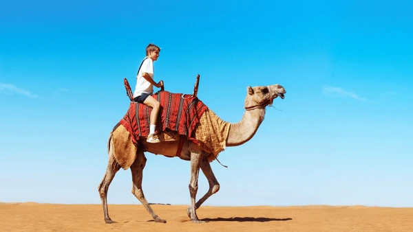 camel-ride-morning-desert-safari